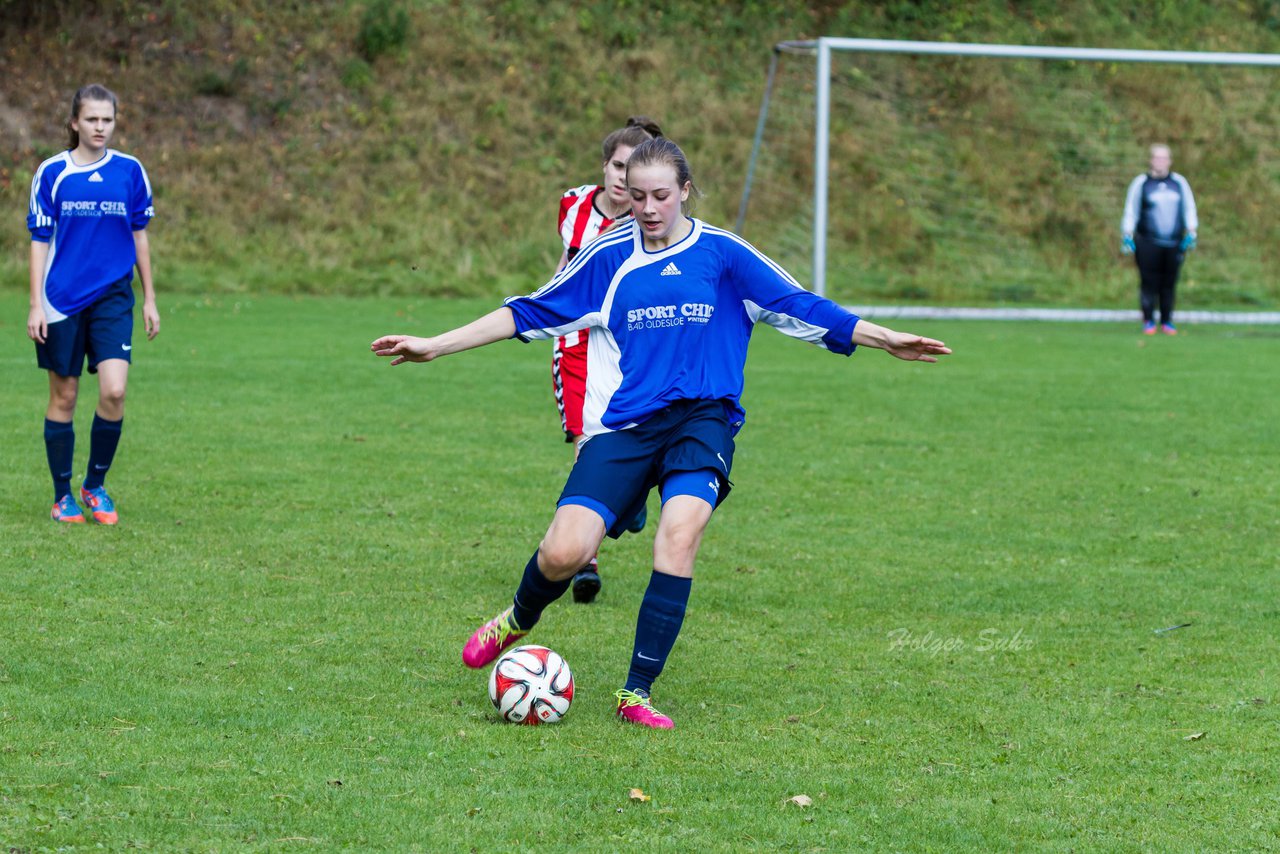 Bild 84 - B-Juniorinnen TuS Tensfeld - VfL Oldesloe 2 : Ergebnis: 2:5